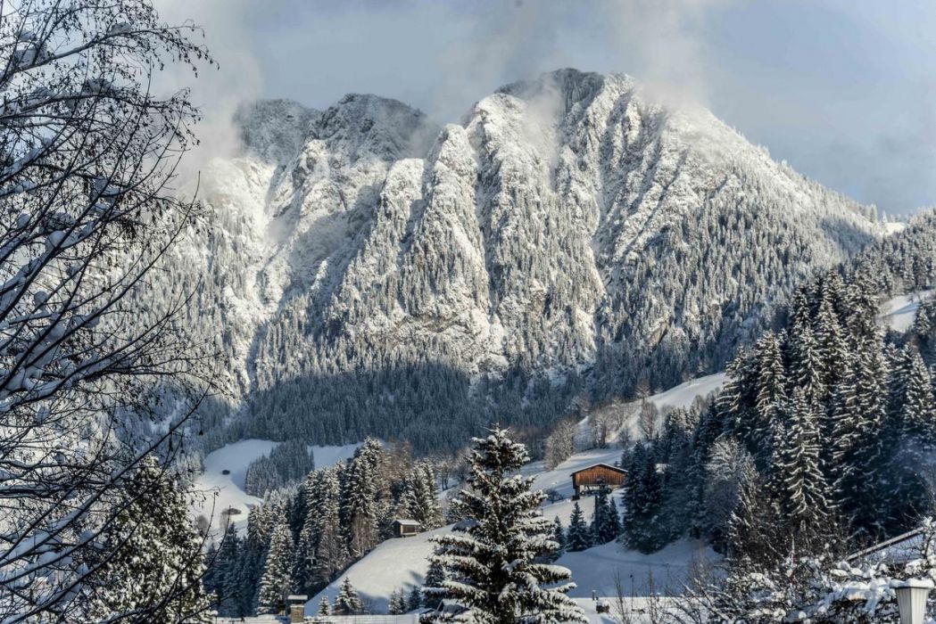 Image history/event-2023/sft-23-040.jpg